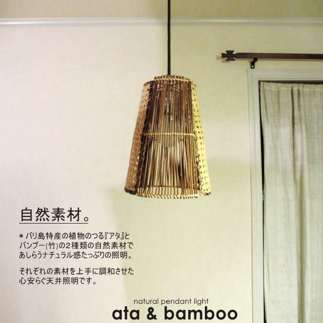 ata-bamboo.jpg